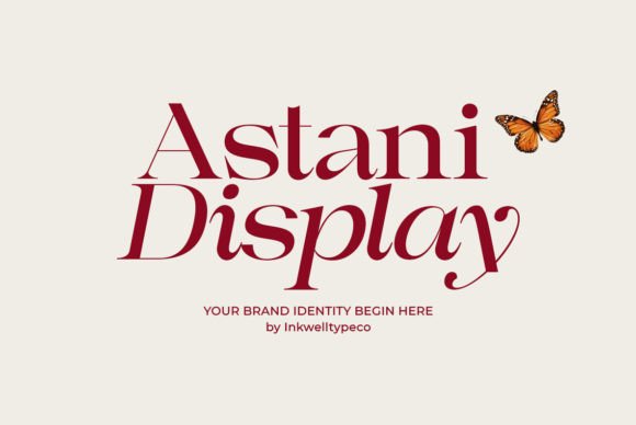 Astani Display: A Designer’s Real-World Review
