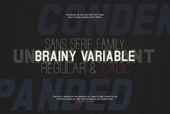 Brainy Variable: A Clean Sans Serif Font for Campaign Clarity