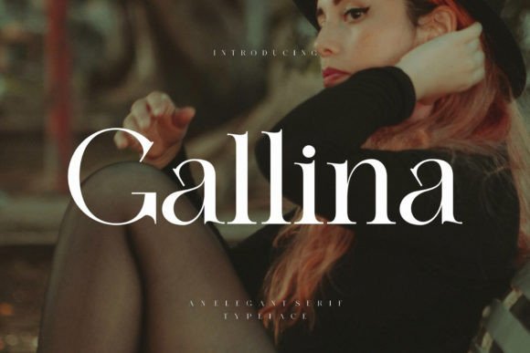 Gallina: A Modern Serif Font That Makes Your Campaigns Instantly Clear