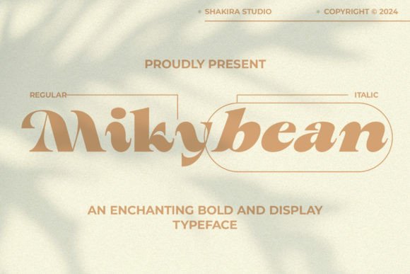 Mikybean: A Serif Font That Makes Your Campaigns Instantly Clear