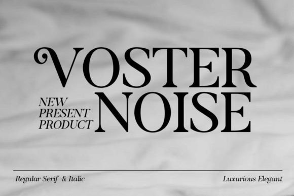 Voster Noise: A Serif Font That Screams Campaign Clarity